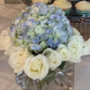 Meet your Posher, Ingrid